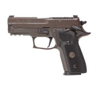 SIG SAUER P229 LEGION 9MM 3.90" 10RDS, LEGION GRAY CERAKOTE ELITE - 229R9LEGIONSAOR2