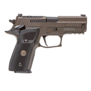 SIG SAUER P229 LEGION 9MM 3.90" 10RDS, LEGION GRAY CERAKOTE ELITE - 229R9LEGIONSAOR2