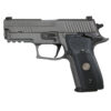 SIG SAUER P229 LEGION 9MM PISTOL 3.9" 15RDS SAO W/ X-RAY 3, LEGION GRAY