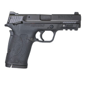 SMITH & WESSON M&P 380 SHIELD EZ .380 ACP PISTOL MTS - 11663