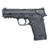 SMITH & WESSON M&P 380 SHIELD EZ .380 ACP PISTOL MTS - 11663