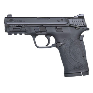SMITH & WESSON M&P 380 SHIELD EZ .380 ACP PISTOL MTS - 11663